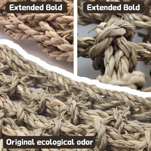 2 Pieces Bearded Dragon Hammock Large Reptile Hammock, Lizard Hammock, Bearded Dragon Climbing Habitat Tank Accessories, Reptile Bridge for Chameleon Hermit Gecko Snakes - style: 1 Rectangle + 1 Square