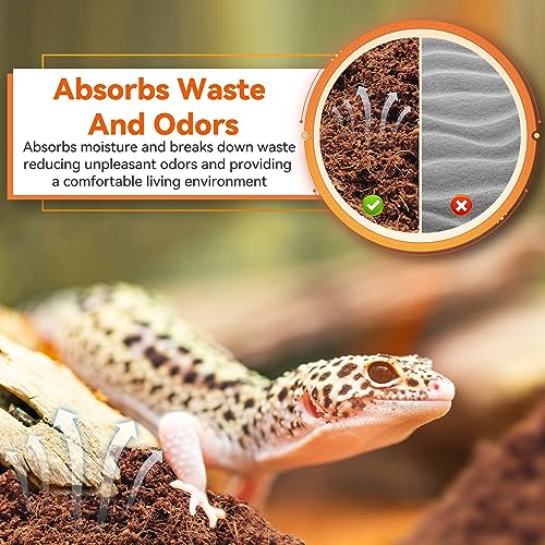 Legigo 2 Pack Coconut Fiber Substrate, Natural Coco Coir Bedding for Reptiles Turtles, Tortoises, Snake, Hermit Crab, Gecko, Lizard, Bioactive Terrarium Soil for Humidity Control and Plant Substrate - color: 2 Pack