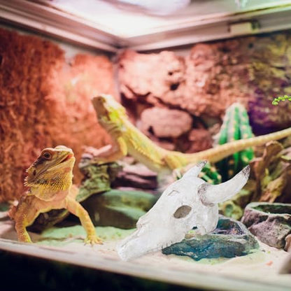 SOLUSTRE Reptile Tank Hideout Skull Decoration Resin Animal Skull Ornament 20.5X17X9Cm Turtle Aquarium Accessories Terrarium Decor for Lizards Geckos