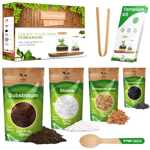 Terrarium Kit, Succulents & Indoor Plants Set DIY | Starter Pack for Any Plant – Build Your Own Ecosystem – Supplies for 64 fl oz Jar or Pot – (Jar & Plants Not Included)
