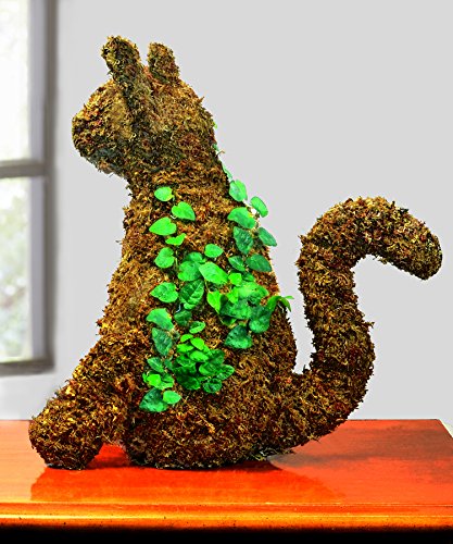 Mosser Lee ML0110 Long Fibered Sphagnum Moss – 432 cu in – High Water Retention, Soil-Free Gardening, Topiary Filler, Hanging Baskets, Crafts & Decoration - style: Spagnum Moss