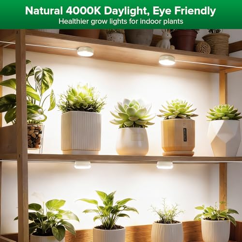 SANSI 20W(5W*4) Puck Grow Lights for Indoor Plants Full Spectrum, 4 Head Plant Lights for Indoor Growing, LED Plant Lamp for Growth with Timer, Auto On Off 4 8 12 Hrs Greenhouse,No Dimmable - size: Puck Grow Light with Separate Timer