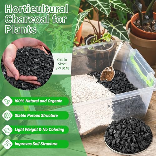 Legigo 4QT All Natural Horticultural Charcoal- Activated Hardwood Plant Charcoal for Soil Amendment, Conditioning Bonsai Soil, Succulent, Terrarium Supplies, Indoor Plant Potting Soil - color: 4 QT