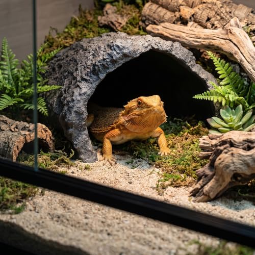 Extra Large Reptile Hideout & Basking Platform, Resin Rock Cave Habitat Decor for Bearded Dragon, Tortoise, Snake, Lizard - Aquarium & Terrarium Tank