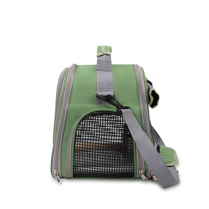 Bird Travel Carrier, Portable Small Bird Parrot Parakeet Carrier with Standing Perch and Tray, Side Access Window Collapsible Bird Carry Transport Bag for Vet Visit(Green)