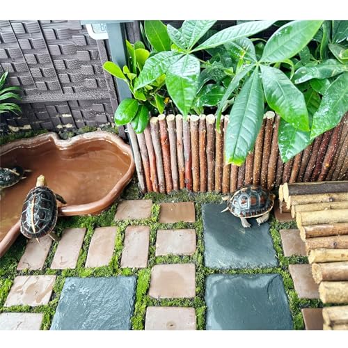 2 Pack Reptile Basking Platform 11.8 × 6" + 4", Reptile Slate, Basking Rock, Slate Tiles Rocks for Reptiles,Terrarium Bowls for Bearded Dragon Tortoise Turtle Ball Python Snake Lizard Gecko - size: 11.8 × 6 IN + 4 IN