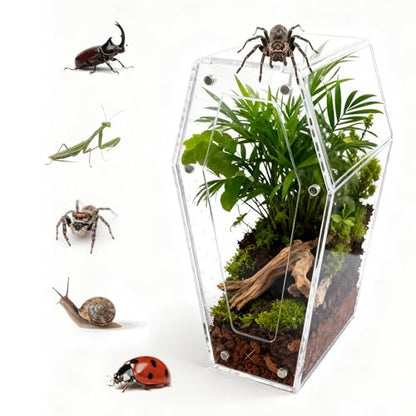 Jumping Spider Enclosure, No Installation Insect Terrarium with Magnetic Door & All-Side Ventilation, Bug Enclosure for Tarantula, Snail, Beetle and Small Reptiles