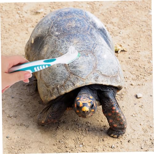 GANAZONO 3pcs Turtle Shell Cleaning Brush Reusable Aquarium Cleaner Tortoise Shell Mud Brush - color: Light Green