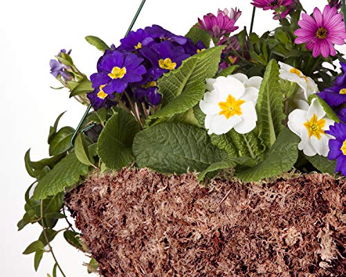 Mosser Lee ML0110 Long Fibered Sphagnum Moss – 432 cu in – High Water Retention, Soil-Free Gardening, Topiary Filler, Hanging Baskets, Crafts & Decoration - style: Spagnum Moss