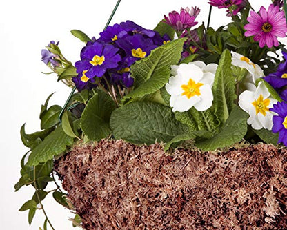 Mosser Lee ML0110 Long Fibered Sphagnum Moss – 432 cu in – High Water Retention, Soil-Free Gardening, Topiary Filler, Hanging Baskets, Crafts & Decoration - style: Spagnum Moss
