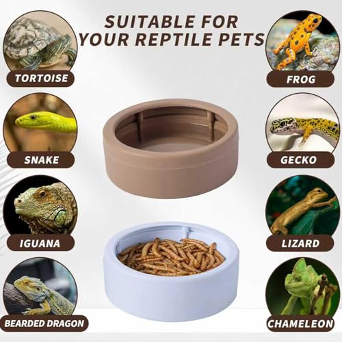 Reptile Bowl | Anti-Escape Worm Feeder Cups | Hermit Crab Water Dishes - for Gecko Bearded Dragon Lizards Hermit Crab Snail Pet Store Terrarium Tank