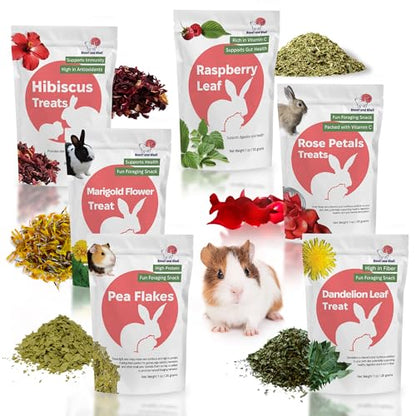 Snout and Shell Small Pet Mega Pack – 6 Natural Treats: Pea Flakes, Dandelion, Raspberry Leaf, Marigold, Rose Petals & Hibiscus – For Rabbits, Guinea Pigs, Chinchillas & More – Foraging & Health Boost