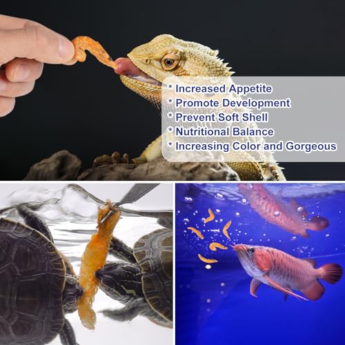 Freeze-Dried Krill Jumbo Shrimp - High Protein Natural Reptile Food for Turtles, Bearded Dragons, Tropical Fish & Amphibians(4oz)