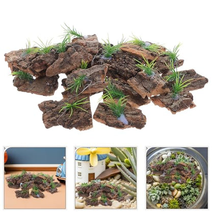Alasum 20pcs Natural Cork Bark for Reptile Terrarium Tree Bark Decor for Reptile Tank Background for Lizards Snakes Turtles Easy Clean Terrarium Scenery