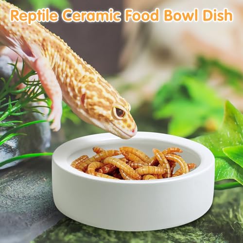 Tfwadmx 4 Pack Reptile Food Bowl, Mini Ceramic Water Feeder Bowl, Reptile Worm Feeding Dish for Lizard Turtle Bearded Dragon Anoles Crested Gecko Hermit Crab Leopard Gecko Chameleon Corn Snake - size: 4 Pcs 2.7 '' x 0.8 ''