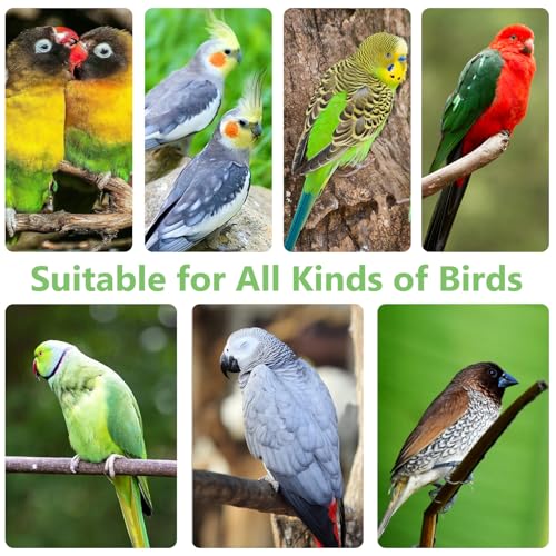 Cork Bark Perch for Birds 16"X12" Natural Cork Chewing Toy 2 PCS Flat Budgies Bark Seat Board Wood Bark Background Decor Panel Birdcage Accessories for Parakeet Lovebirds Cockatiels Conures