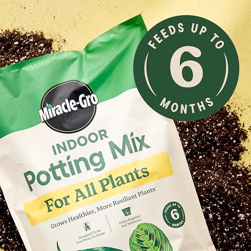 Miracle-Gro Indoor Potting Mix (6 qt.) and Plant Food (8 fl. oz.) for All Plant and Plant Care Leaf Protect & Shine (8 fl. oz.) - Bundle for Growing, Fertilizing, Protecting and Cleaning Houseplants - size: 6 qt (Care Bundle), style: 6 QT