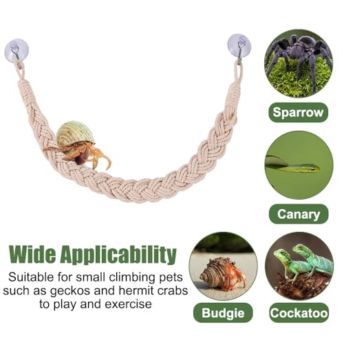 MiOYOOW Hermit Crab Rope Toys, 2PCS Hanging Hermit Crab Vines Toys with Suction Cups, Reptile Tank Terrarium Accessories for Lizards Geckos Snakes Hermit Crabs Spiders