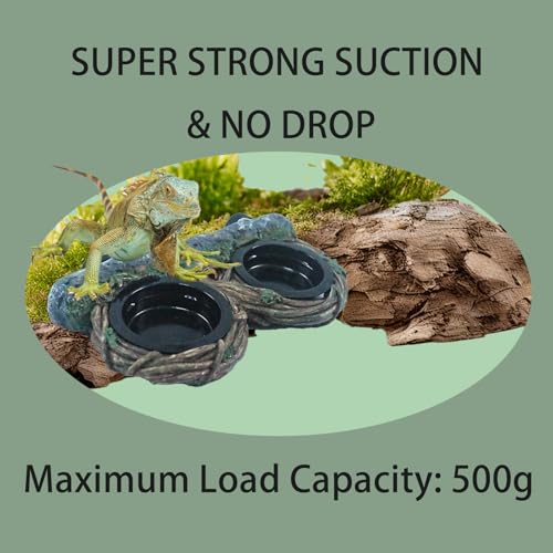 Reptile Feeding Ledge with 4 Cups, Hollow Vine Food Dish & Water Bowl for Bearded Dragon, Gecko, Lizard & Snake – Reptile Tank Accessories for Terrariums - size: Magnetic- Dual Feeder
