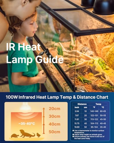 FLSNT Heat Bulb Lamp, 2-Pack 100W Daylight Basking Spot, Bearded Dragon/Turtle/Lzard/Gecko Light Bulb, UVA Heat Lamp, Basking Light for Reptiles RA80 - color: Reptile Basking Bulb