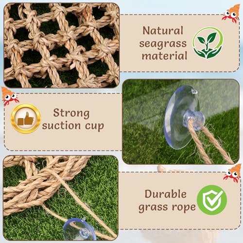 Hermit Crab Climbing Toys,Lizard Seagrass Mat,Hermit Crab Hammock with Suction Cups,Hermit Crab Supplies Decor Habitat,Small Reptile Tank Accessories for Guinea Pigs Hamsters Geckos (Circle) - size: Circle