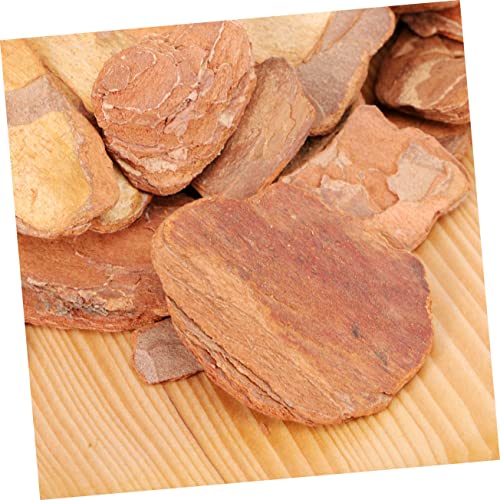 ORFOFE 1pack Natural Pine Bark Pad for Reptile Box Cushioning for Lizards Snails and Chameleons to Rest Climb Terrarium Decor