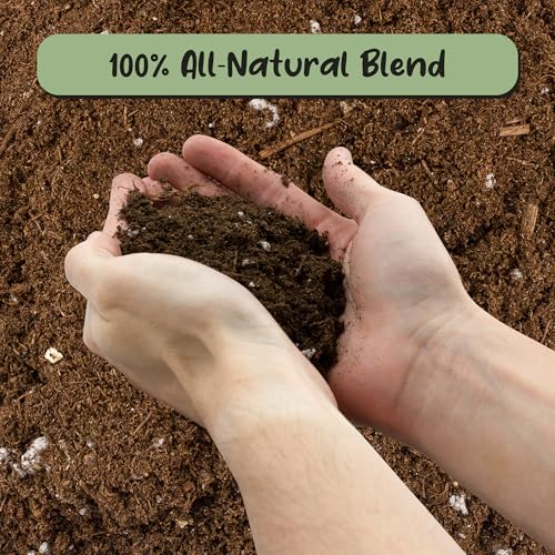 Soil Sunrise Plant Propagation Potting Mix (4 Quarts) Ideal Starter Mix for Rooting Plant Cuttings - size: 4 Quarts