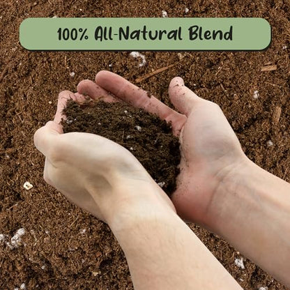 Soil Sunrise Plant Propagation Potting Mix (4 Quarts) Ideal Starter Mix for Rooting Plant Cuttings - size: 4 Quarts