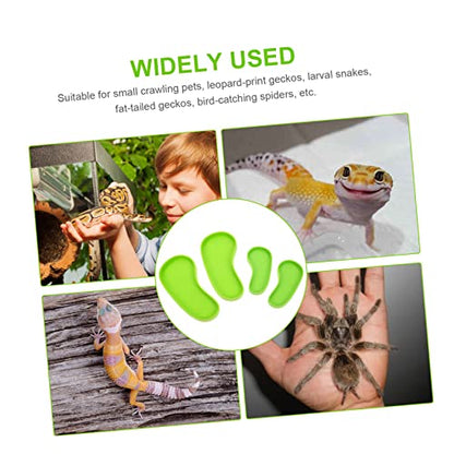 FOMIYES 4pcs Reptile Water Feeder Bowls Pet Drinking Dishes for Tortoises Lizards Snakes Decorative Non- Design for Easy Use and Cleaning