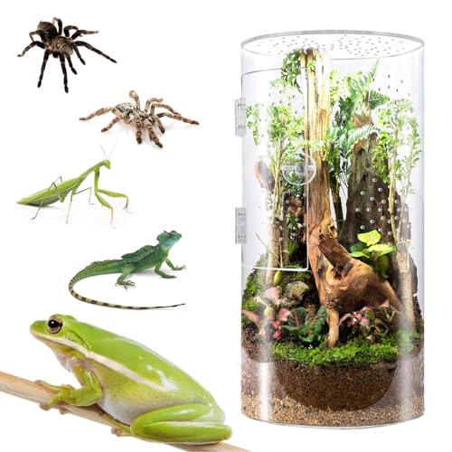 TOPINCN Acrylic Reptile Enclosure, Reptile Terrarium, Clear Transparent Cylindrical Tall Waterproofing Front Opening Door for Jumping Spider Tarantula Lizards Snails Vertical