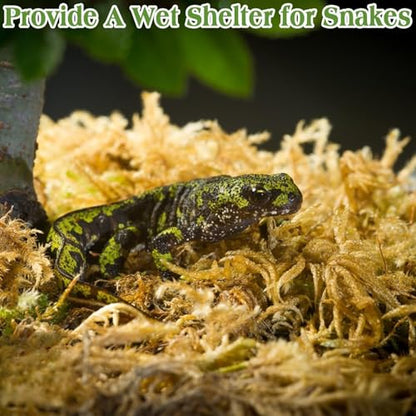 Halatool 3.5OZ Natural Sphagnum Moss for Reptiles Premium Reptile Moss Ideal Terrarium Moss for Box Turtles Hermit Crabs Leopard Gecko Snakes and Hamsters Enclosure - size: 3.5oz