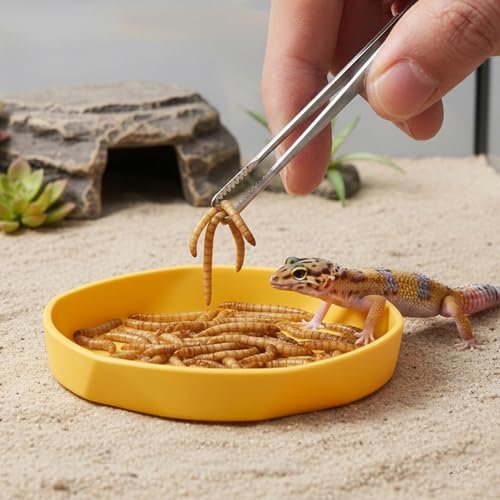 4PCS Reptile Food Dish, Round Plastic Reptile Water Bowl, Reusable Escape Proof Reptiles Feeding Dish for Lizards, Geckos, Bearded Dragons, Chameleons, Hermit Crabs, and Other Small Reptiles