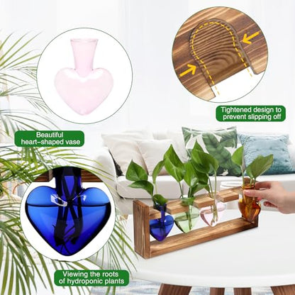 Plant Propagation Stations Heart Plant Terrarium Kit Gift for Women Plant Lover Glass Vases - color: Color02