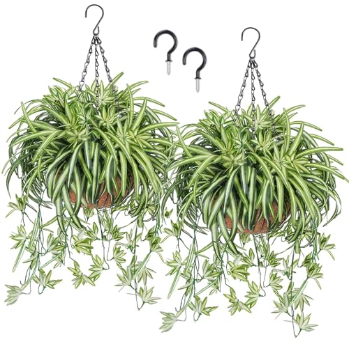 2 Set Artificial Spider Plants Fake Hanging Baskets Outdoor UV Resistant Faux Silk Plants Realistic for Spring Outside Porch Patio Garden Balcony Ceiling Hanging Decor - color: Hanging Spider Plants