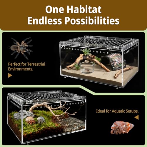 Reptile Terrarium Starter Kit, PC Habitat w/Magnetic Lid & Full Ventilation, Scorpion Habitat, Tarantula Enclosure, Spiders Cage, Insect Terrarium, Mantis & Small Frog Terrarium, 8"x6"x4" Assembled
