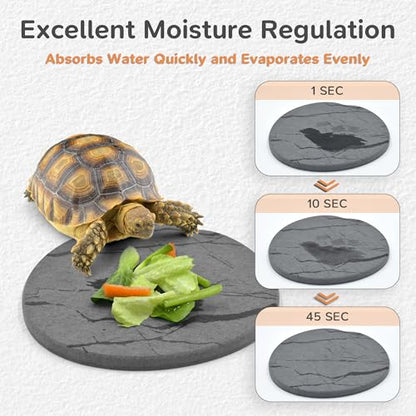Reptile Basking Platform, Diatomaceous Earth Slate Rock Feeding Dish, Tortoise Bathing Resting Terrace Habitat Accessories for Bearded Dragon Leopard Gecko Snake Lizard Turtle Tank, 6''x6'' - size: 6''x6''