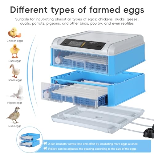 120 Egg Incubator with Automatic Egg Turner and Digital Control - Poultry Hatcher for Chicken, Duck, Quail Eggs - Ideal for Home, Farm, Educational Use