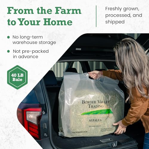 Border Valley Orchard Grass Hay Bale in Bag, 40 lb - Soft High Fiber Hay for Rabbits, Guinea Pigs, Chinchillas, Tortoises, Horses and Livestock - Leafy Grass Hay, Farm-to-Home Freshness