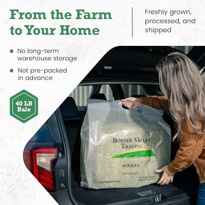 Border Valley Orchard Grass Hay Bale in Bag, 40 lb - Soft High Fiber Hay for Rabbits, Guinea Pigs, Chinchillas, Tortoises, Horses and Livestock - Leafy Grass Hay, Farm-to-Home Freshness