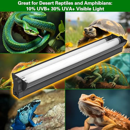 2-Pack UVB UVA Reptile Light 10.0 Bulb, 15W 18inch T8 Fluorescent Desert Lamp, UVA for Bearded Dragon Tortoise Reptile & Amphibian (T8 15W 18inch 10.0 Bulb G13) - style: T8/15W (18In Replacement Bulb*2)