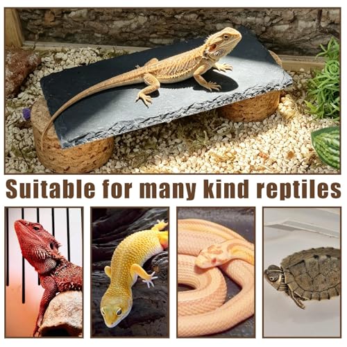 Bearded Dragon Basking Rock Platform,Reptile Basking Slate Rock with Wooden Stump,Leopard Gecko Hides and Caves Tank Accessories for Lizards,Snakes,Turtle,Ball Pythons