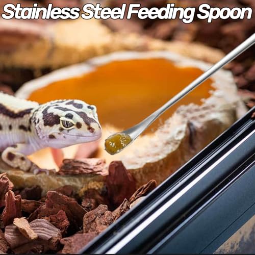 Stainless Steel Reptile Feeding Kit - Tweezers, Spoon, Clamp & Storage Bag - Long Handle Terrarium Feeding Tool for Lizards, Geckos, Spiders & Snakes