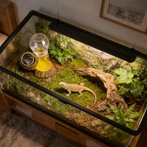 Reptile Food & Water Feeder, Escape Proof Feeding Bowl with Removable Stainless Steel Dish for Mealworms