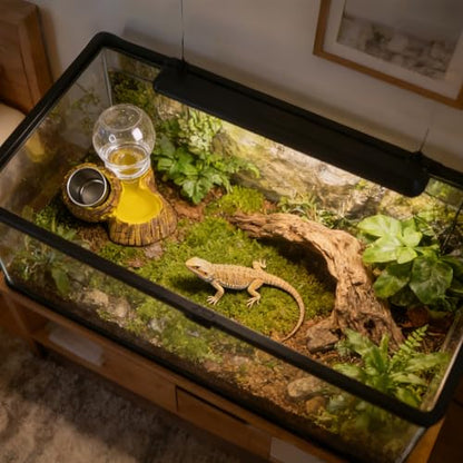Reptile Food & Water Feeder, Escape Proof Feeding Bowl with Removable Stainless Steel Dish for Mealworms