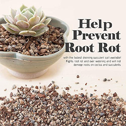 Bonsai Jack Succulent, Cactus and Bonsai Soil - Jacks Gritty Mix - 1 Gallon – Fast Draining – Fight Root Rot – Optimized pH … - size: 1 Gallon (4 Dry Quarts)