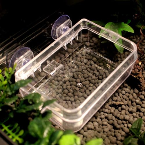 LIOOBO Lizard Feeding Bowl with Suction Cup Durable Transparent Reptile Feeder Dish for Easy Cleaning and Secure Feeding for Geckos and Small Reptiles