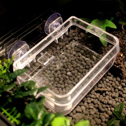 LIOOBO Lizard Feeding Bowl with Suction Cup Durable Transparent Reptile Feeder Dish for Easy Cleaning and Secure Feeding for Geckos and Small Reptiles