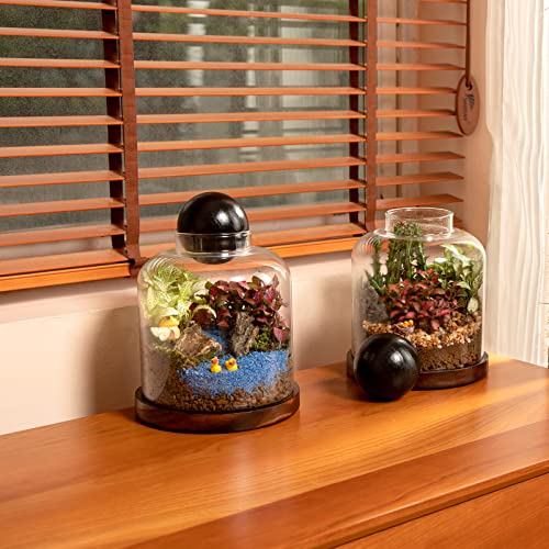 Yangbaga Large Glass Terrarium Succulent Plant Terrarium House for Plant/Moss Ball/Glass Fish Tank Mini Table with Wood Base & Ball lid Office Home Decoration - size: H-7IN