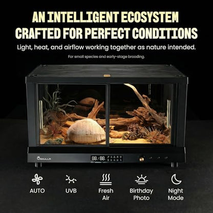 All-in-ONE Smart Reptile Tank, Reptile Enclosure，Terrarium Tank，Screen Ventilation Habitat，Amphibians，Suitable for Keeping Lizards, Geckos and Snakes (Marble, CP1) - color: MARBLE, size: CP1