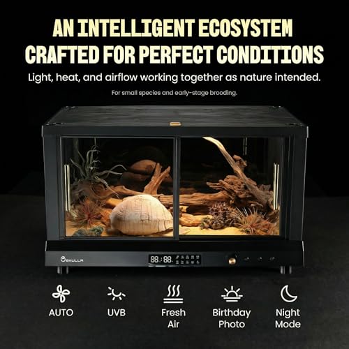 All-in-ONE Smart Reptile Tank, Reptile Enclosure，Terrarium Tank，Screen Ventilation Habitat，Amphibians，Suitable for Keeping Lizards, Geckos and Snakes (Black, Plus) - color: BLACK, size: PLUS